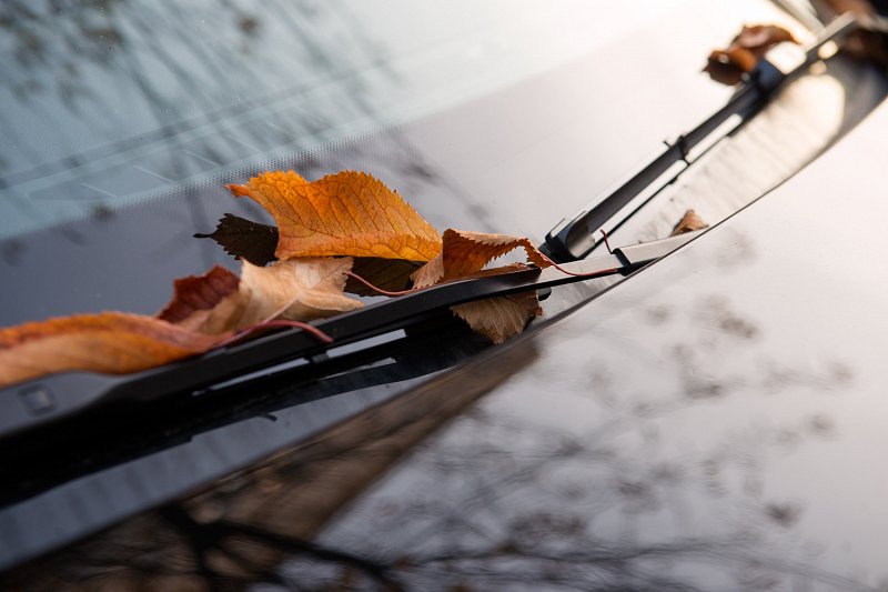 «Spaziergang im Herbst» von Silas Kreienbühl