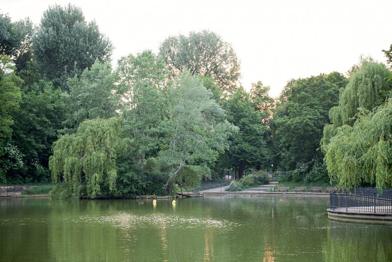 «Spaziergang mit Kamera» von Silas Kreienbühl